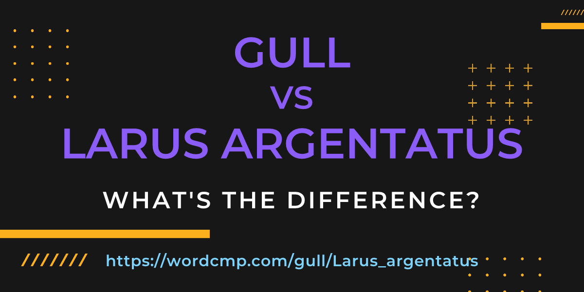 Difference between gull and Larus argentatus