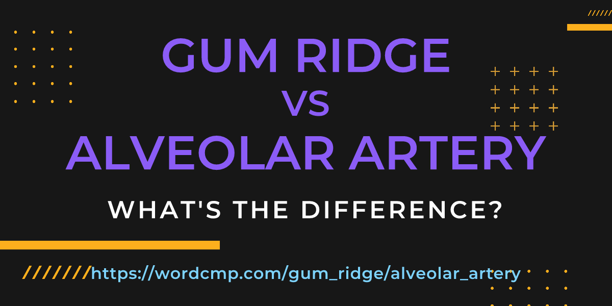 Difference between gum ridge and alveolar artery
