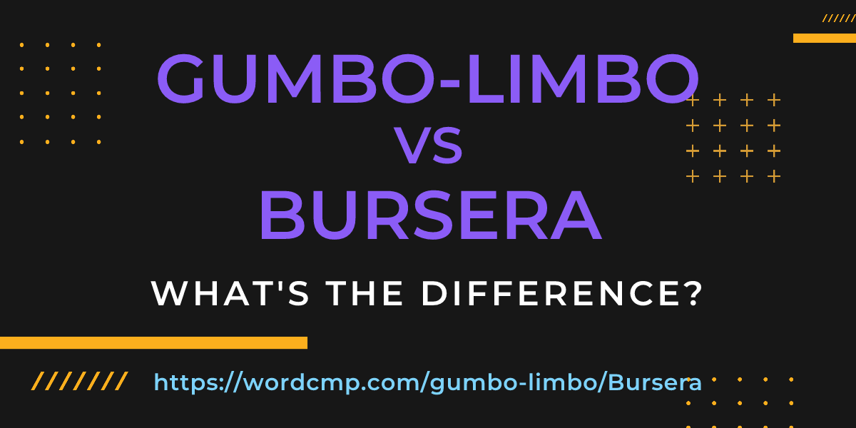 Difference between gumbo-limbo and Bursera