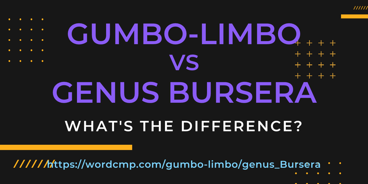 Difference between gumbo-limbo and genus Bursera