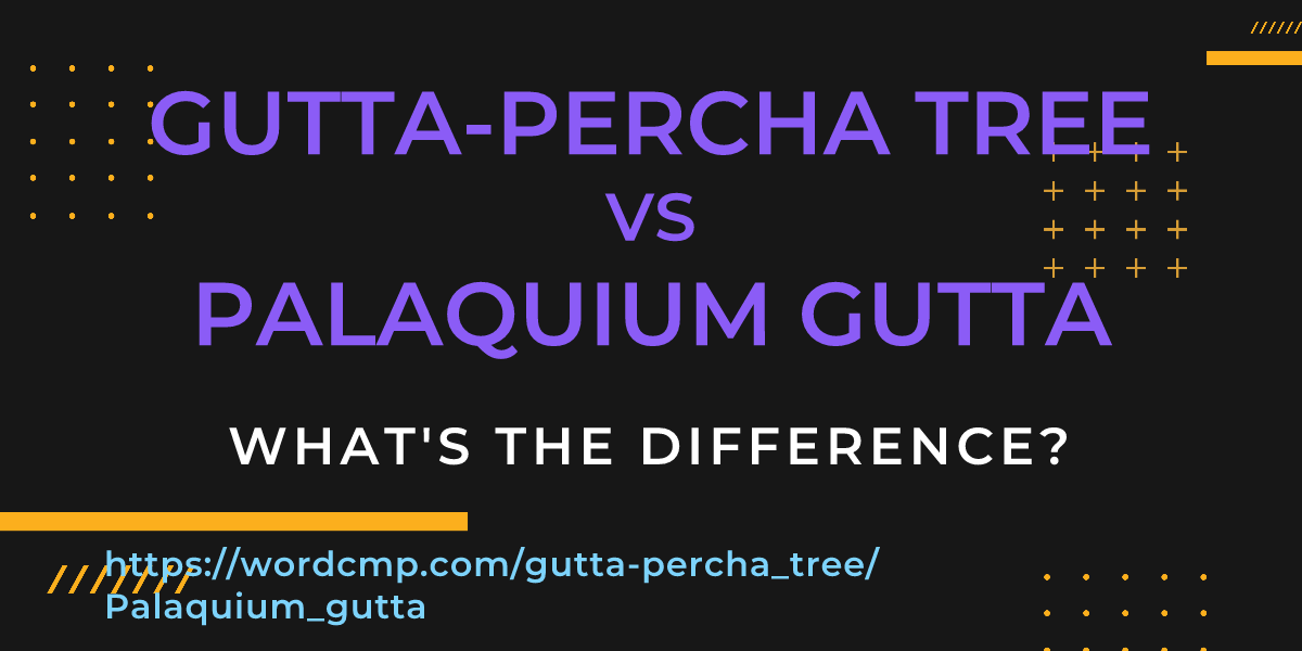 Difference between gutta-percha tree and Palaquium gutta