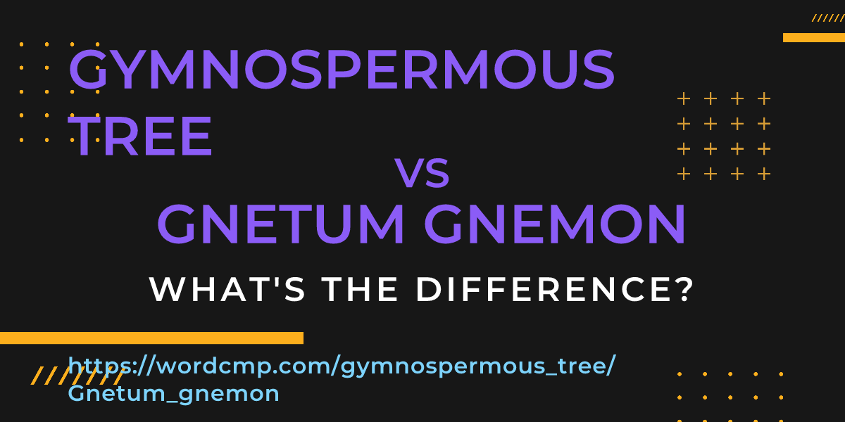 Difference between gymnospermous tree and Gnetum gnemon