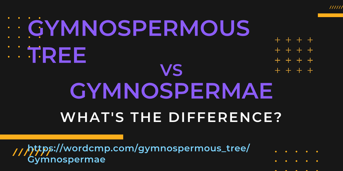 Difference between gymnospermous tree and Gymnospermae