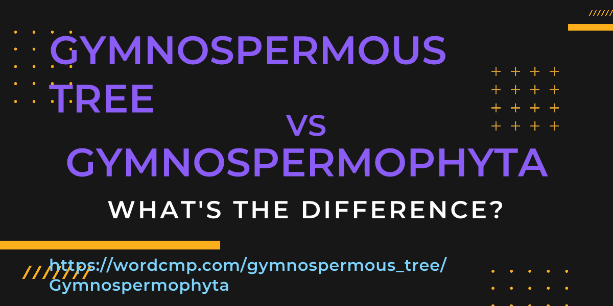 Difference between gymnospermous tree and Gymnospermophyta