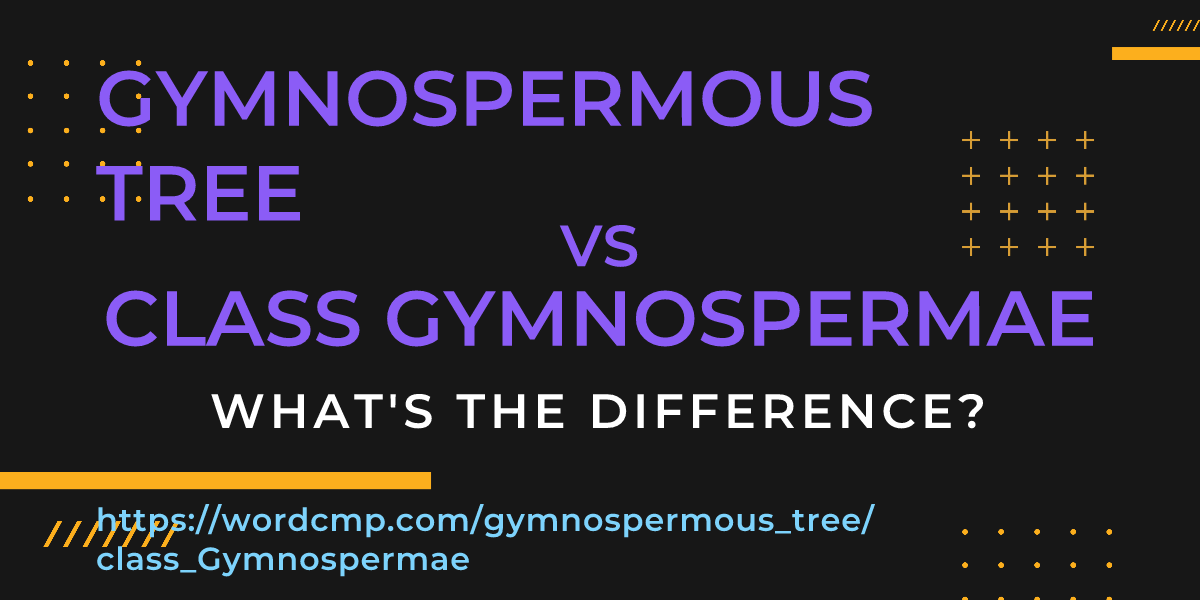 Difference between gymnospermous tree and class Gymnospermae