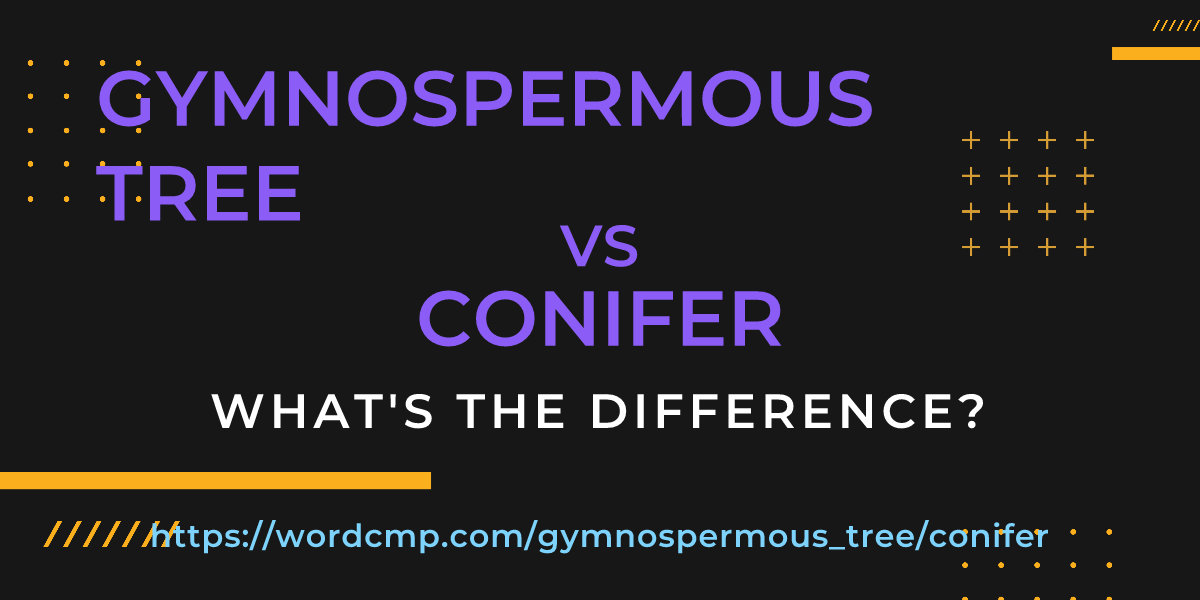 Difference between gymnospermous tree and conifer