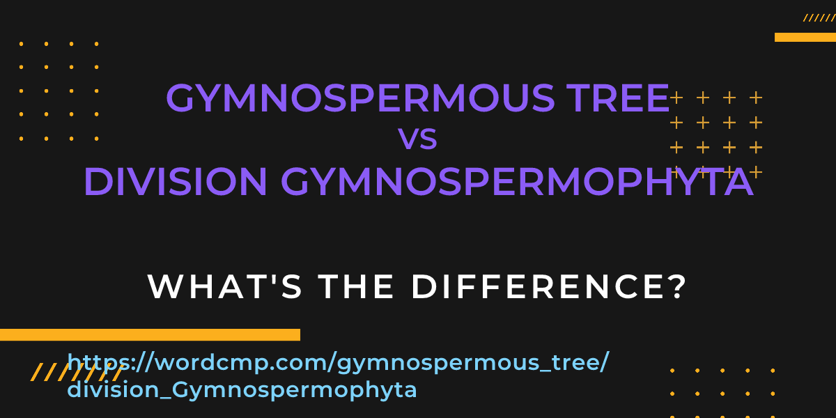 Difference between gymnospermous tree and division Gymnospermophyta