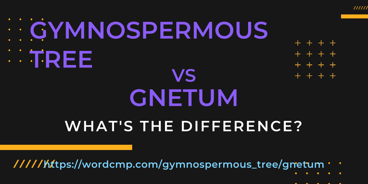 Difference between gymnospermous tree and gnetum