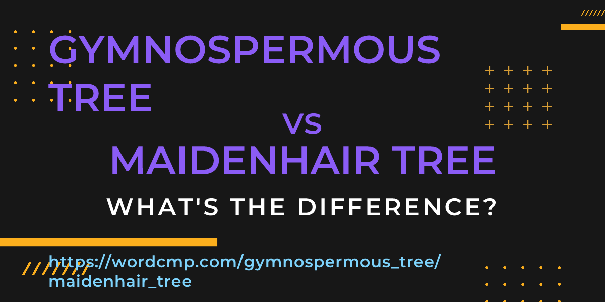 Difference between gymnospermous tree and maidenhair tree