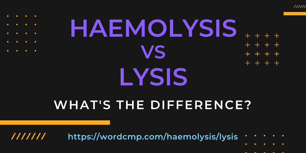 Difference between haemolysis and lysis