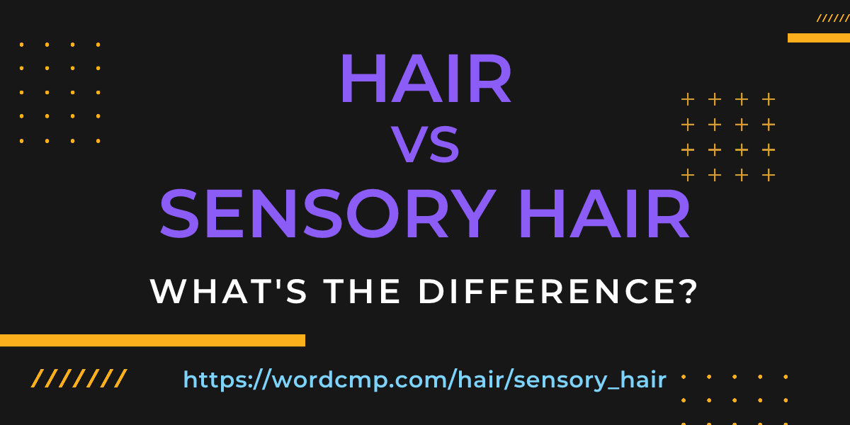 Difference between hair and sensory hair