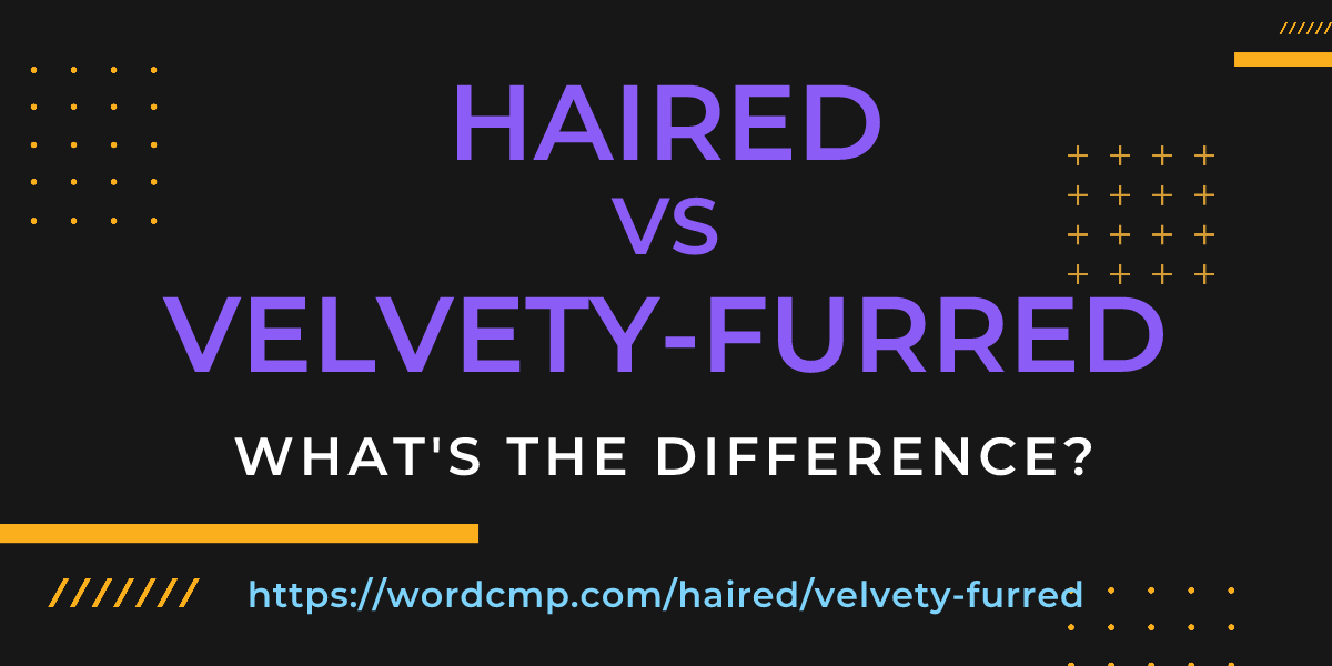 Difference between haired and velvety-furred