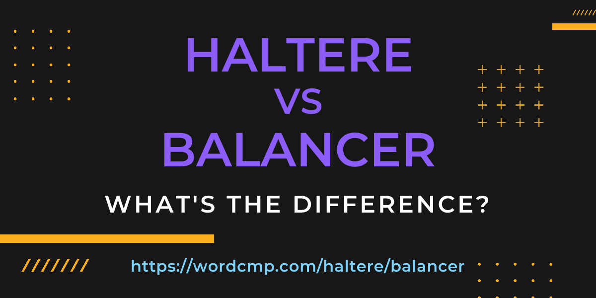 Difference between haltere and balancer