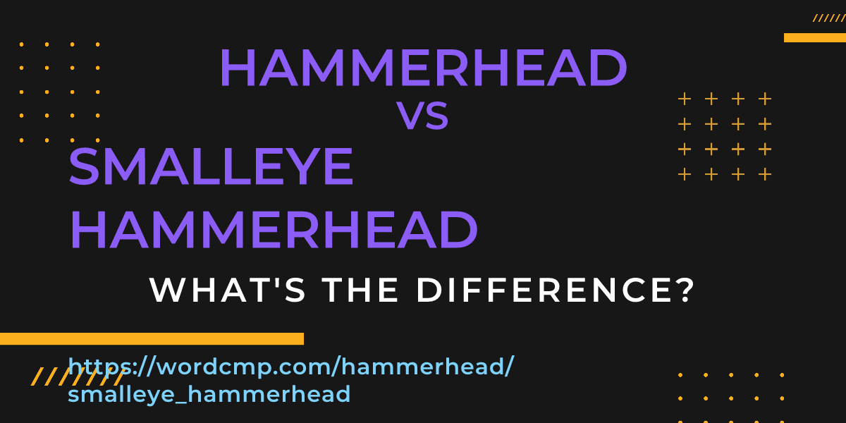 Difference between hammerhead and smalleye hammerhead
