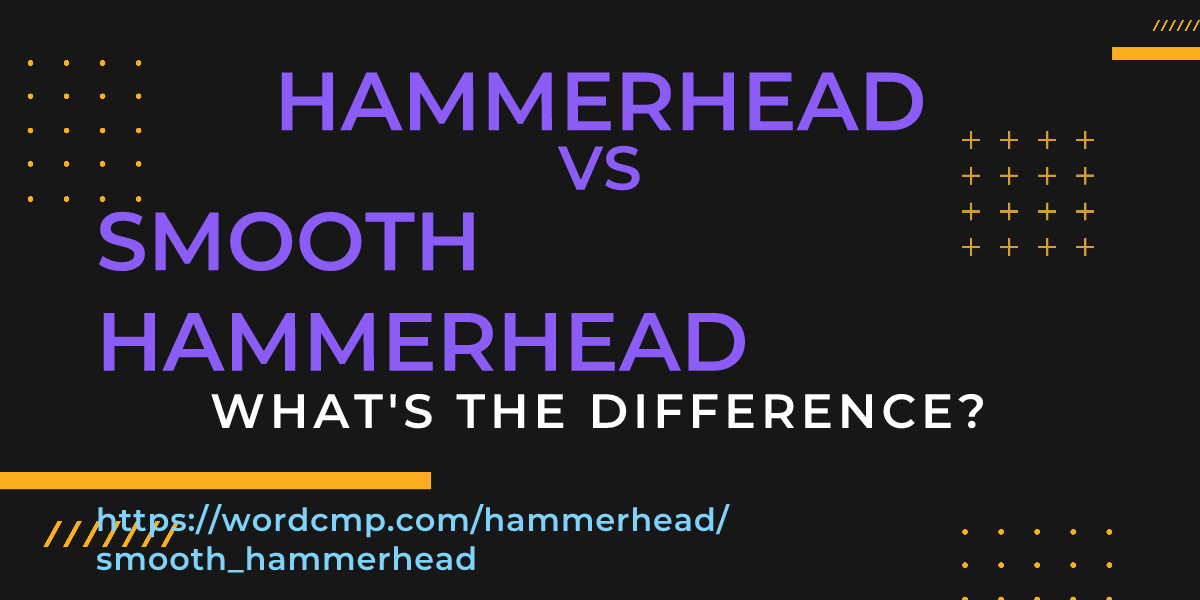 Difference between hammerhead and smooth hammerhead