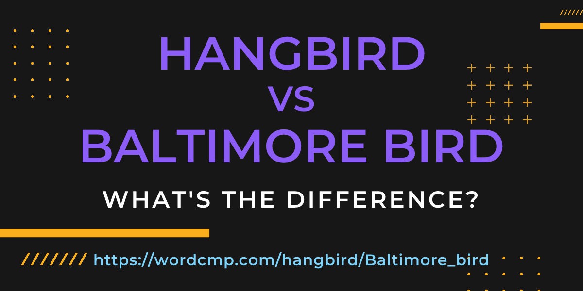 Difference between hangbird and Baltimore bird