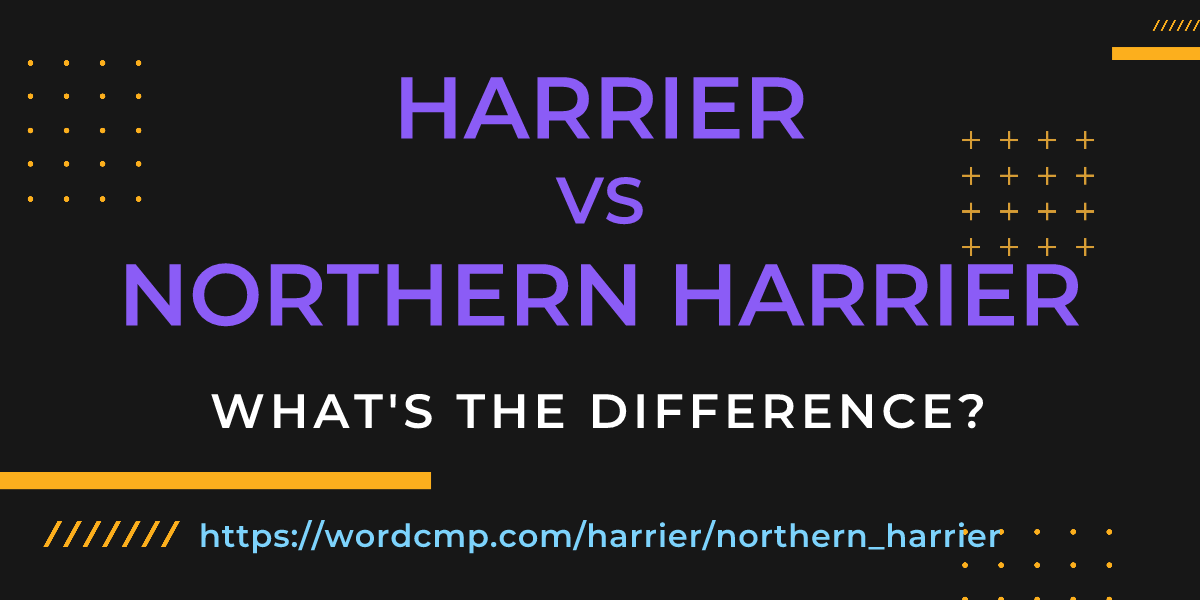 Difference between harrier and northern harrier