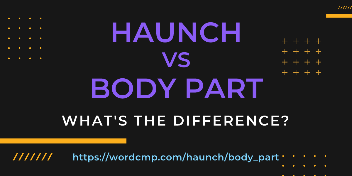 Difference between haunch and body part