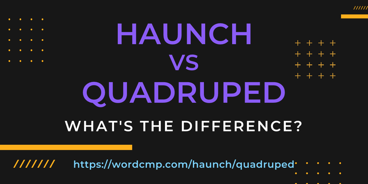Difference between haunch and quadruped