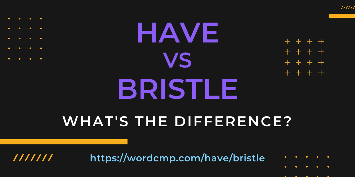 Difference between have and bristle