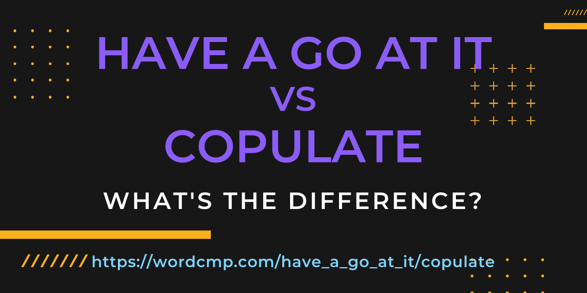 Difference between have a go at it and copulate