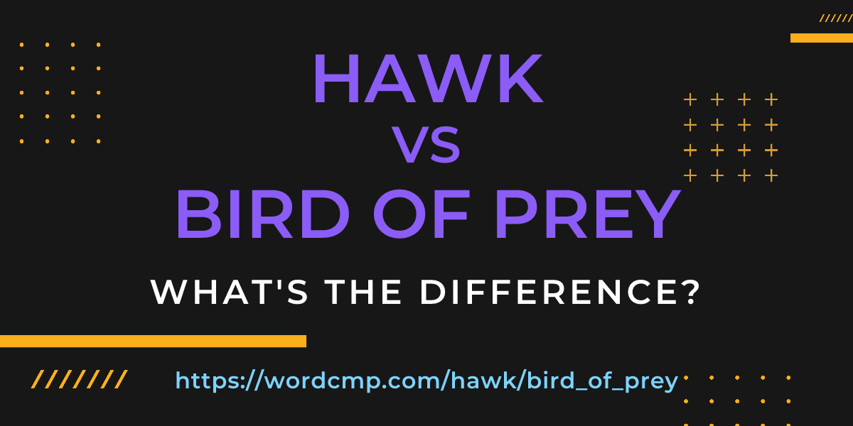 Difference between hawk and bird of prey