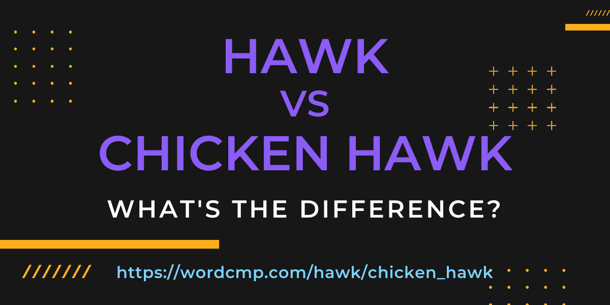 Difference between hawk and chicken hawk
