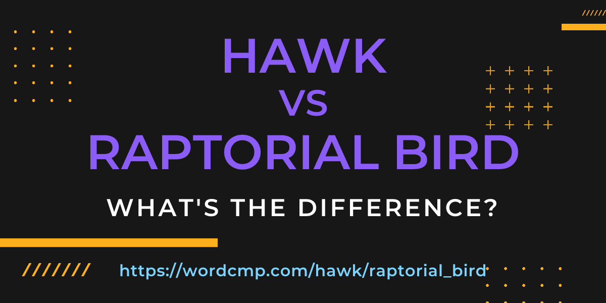 Difference between hawk and raptorial bird