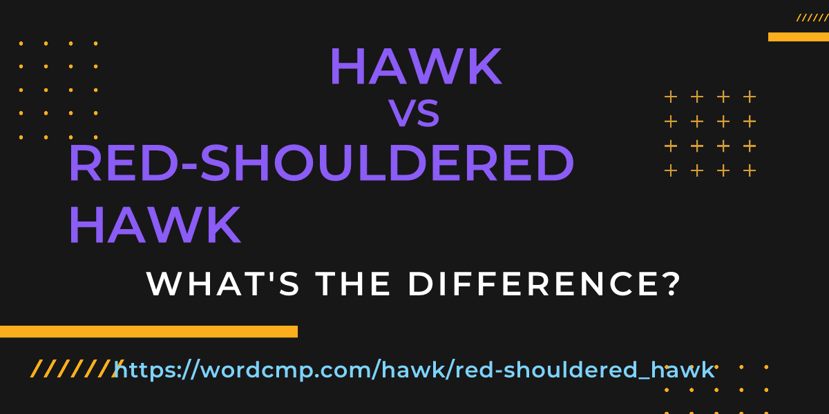 Difference between hawk and red-shouldered hawk