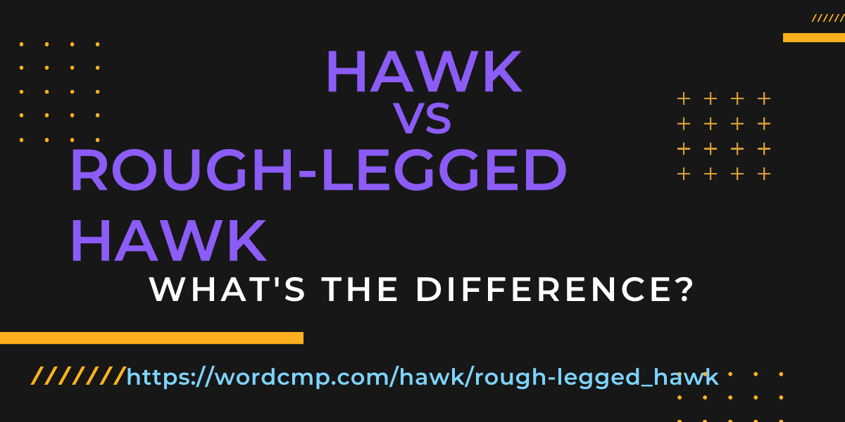 Difference between hawk and rough-legged hawk