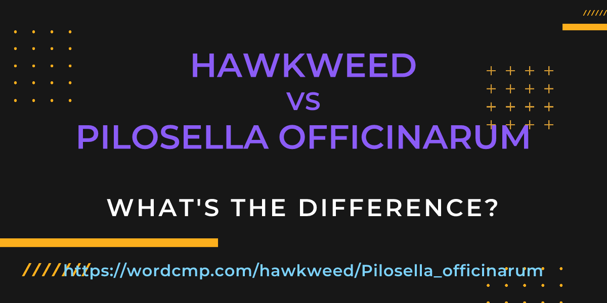Difference between hawkweed and Pilosella officinarum