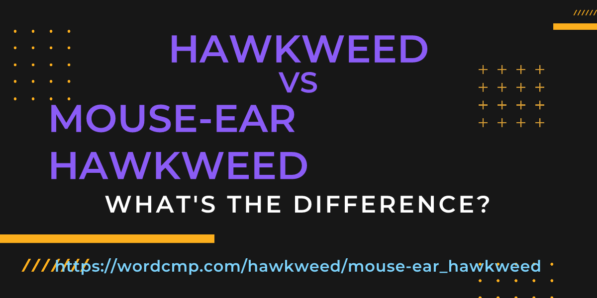Difference between hawkweed and mouse-ear hawkweed