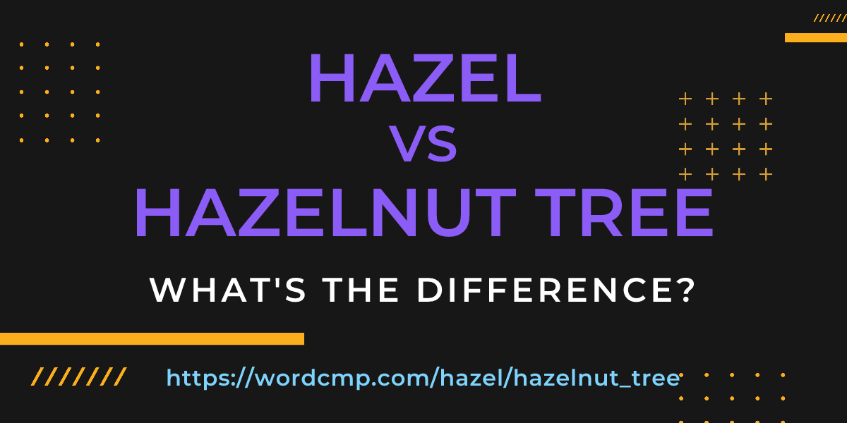 Difference between hazel and hazelnut tree