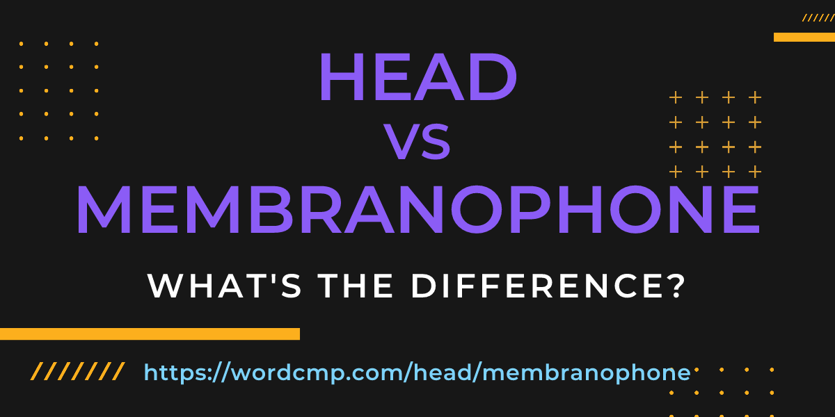 Difference between head and membranophone