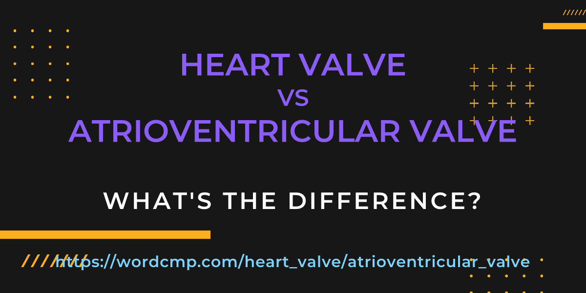 Difference between heart valve and atrioventricular valve