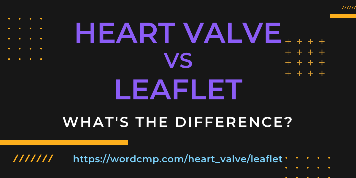 Difference between heart valve and leaflet
