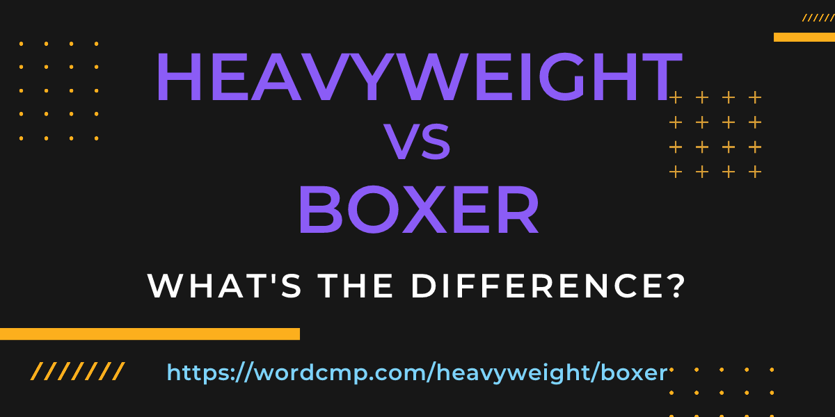 Difference between heavyweight and boxer