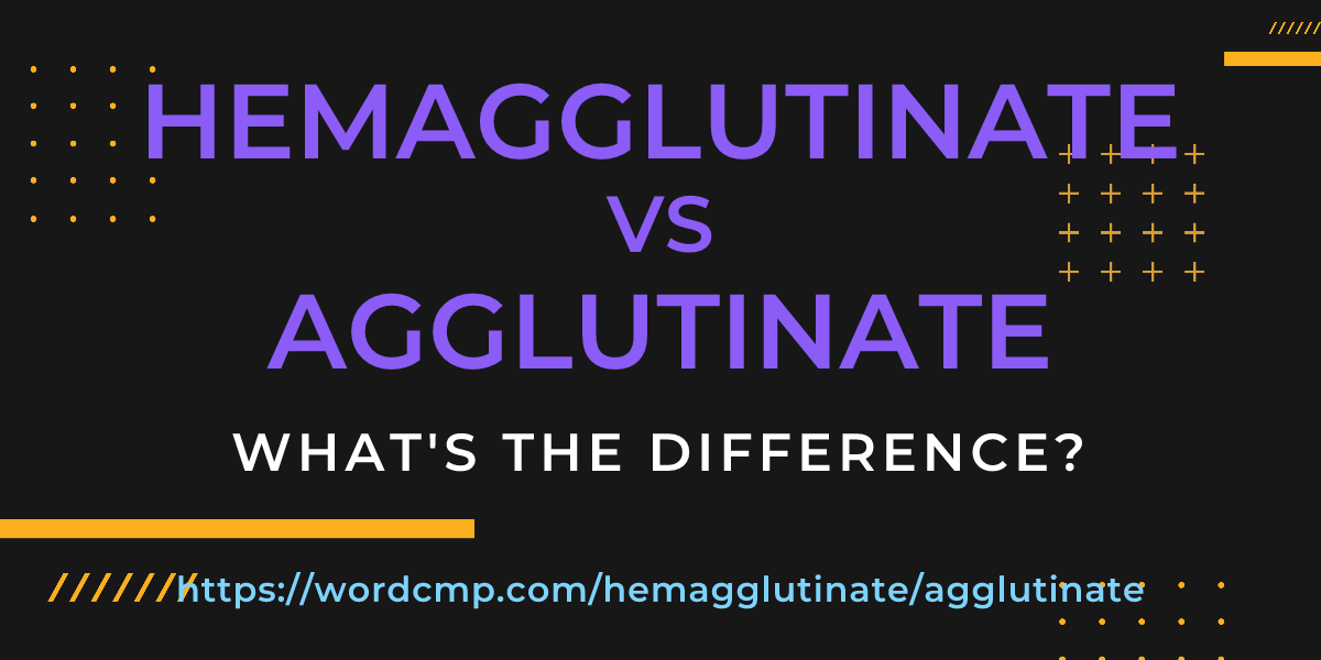 Difference between hemagglutinate and agglutinate