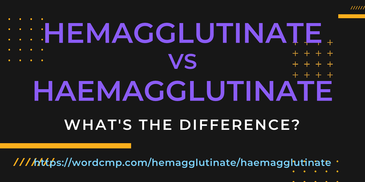 Difference between hemagglutinate and haemagglutinate