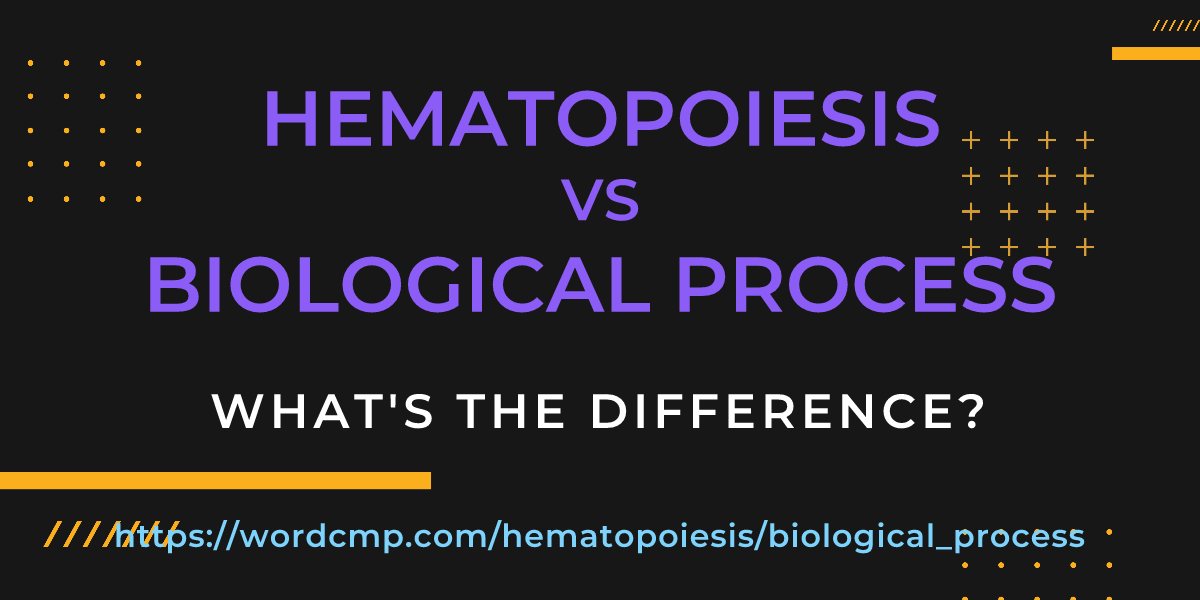 Difference between hematopoiesis and biological process