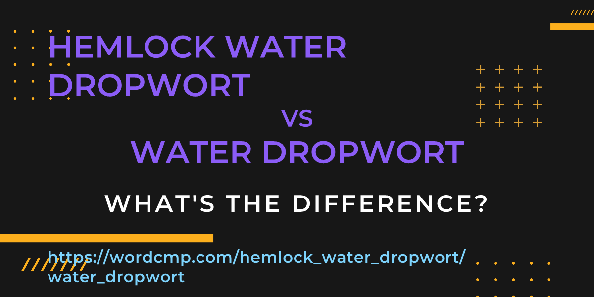 Difference between hemlock water dropwort and water dropwort