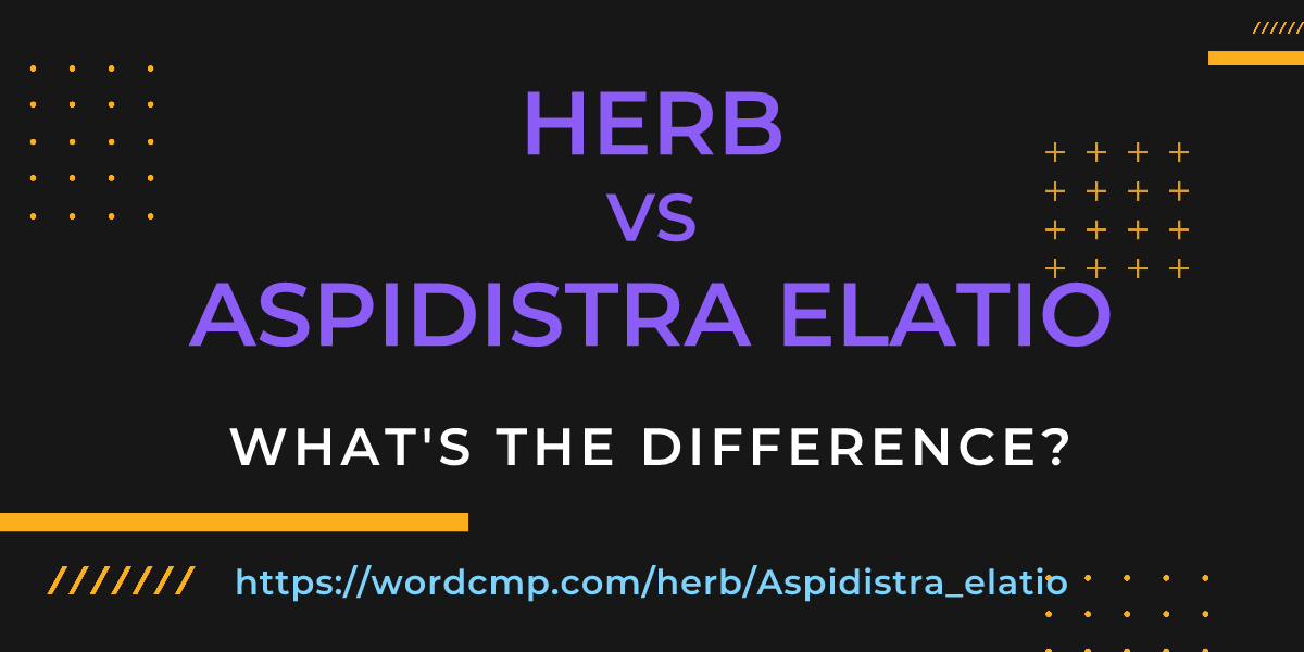 Difference between herb and Aspidistra elatio