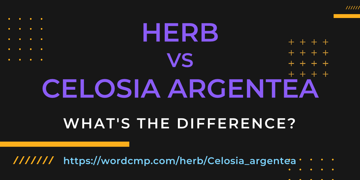 Difference between herb and Celosia argentea
