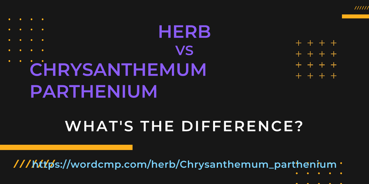 Difference between herb and Chrysanthemum parthenium