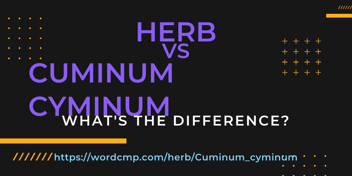 Difference between herb and Cuminum cyminum