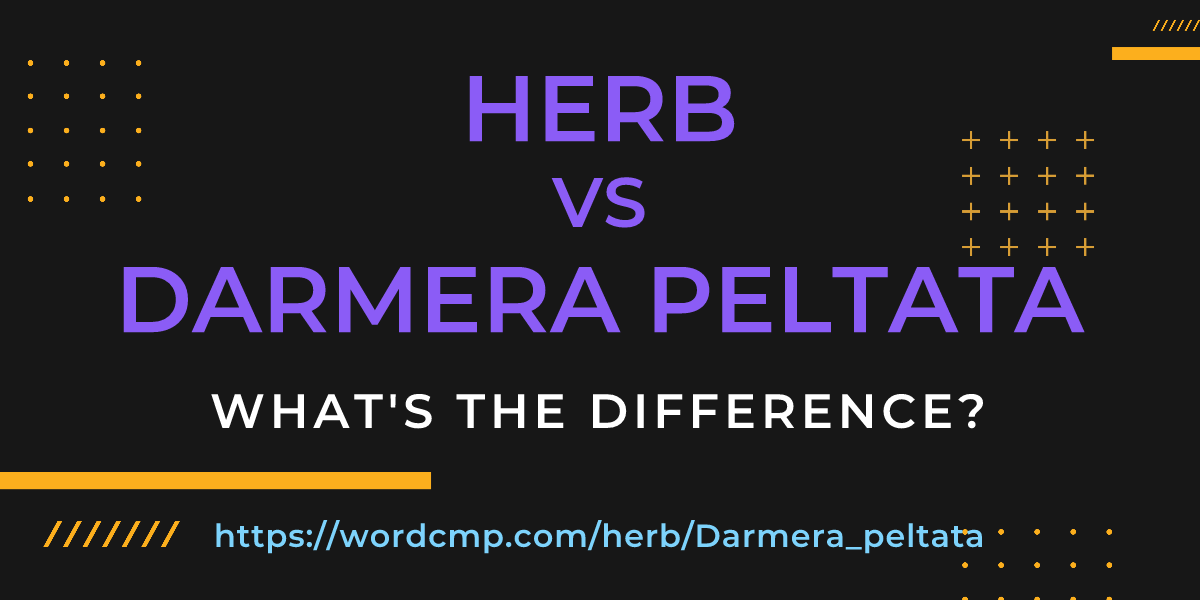 Difference between herb and Darmera peltata