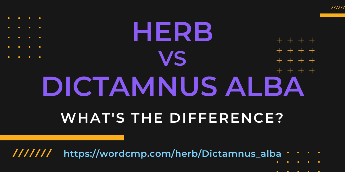 Difference between herb and Dictamnus alba
