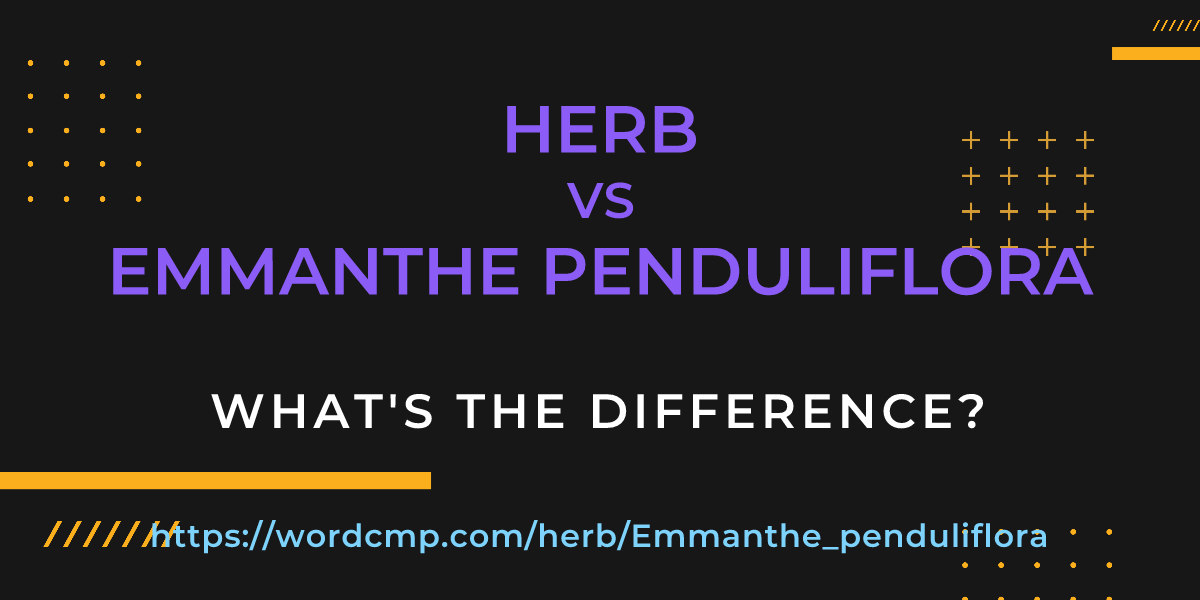 Difference between herb and Emmanthe penduliflora