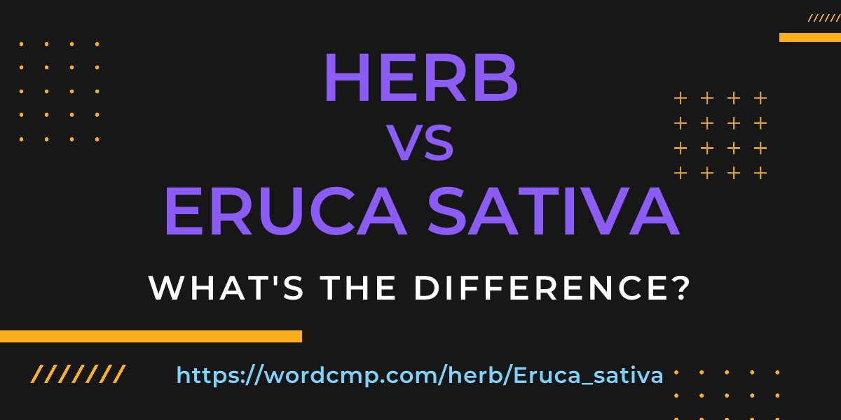 Difference between herb and Eruca sativa
