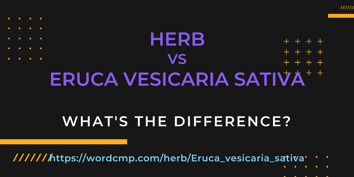 Difference between herb and Eruca vesicaria sativa